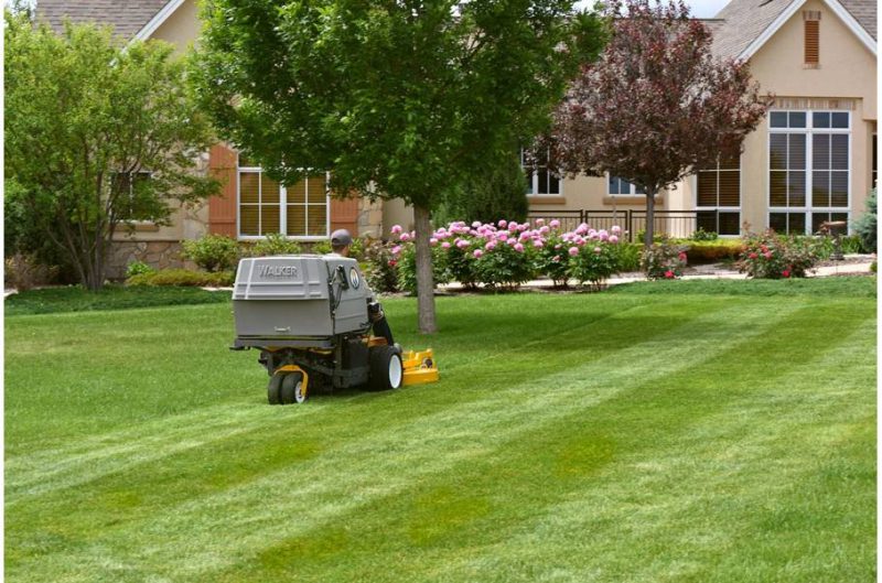 Lawn Mowing Services, Campbell River GreenLawn Services